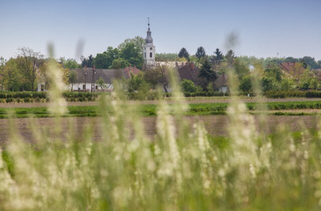 img_9780