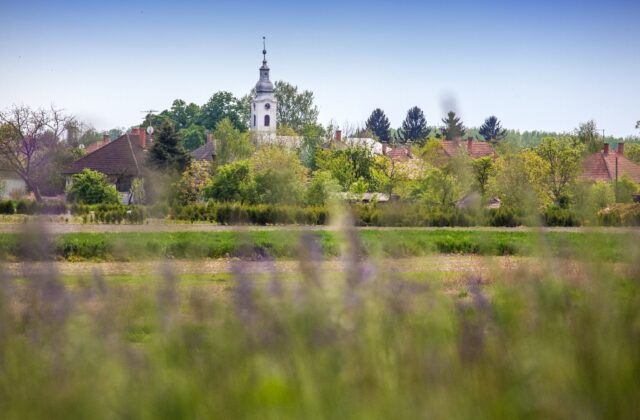 img_9787